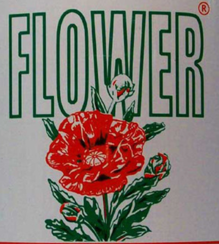 BrandLogo