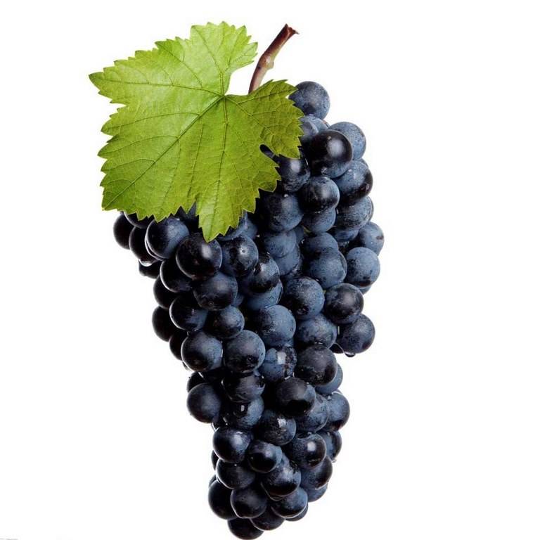 Grape, Black