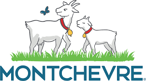 BrandLogo