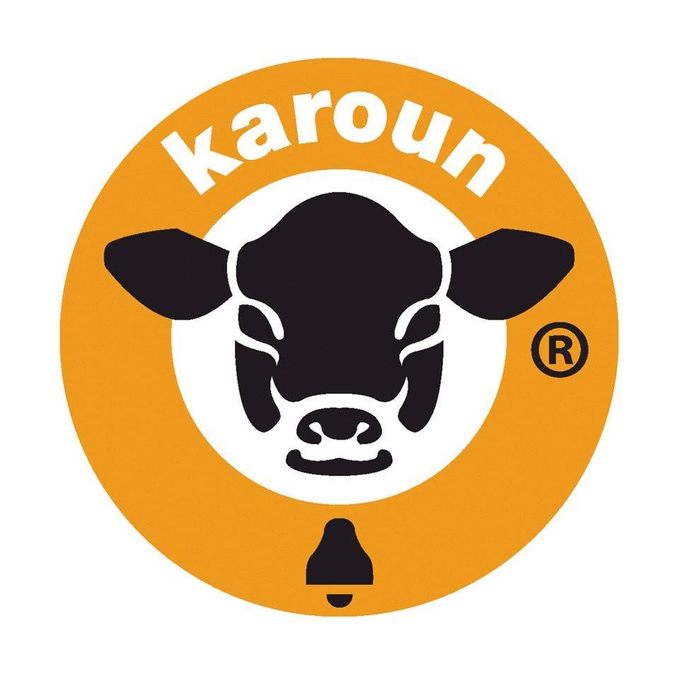 BrandLogo