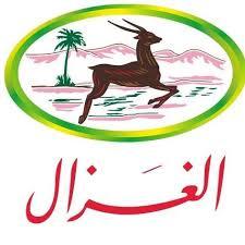 BrandLogo