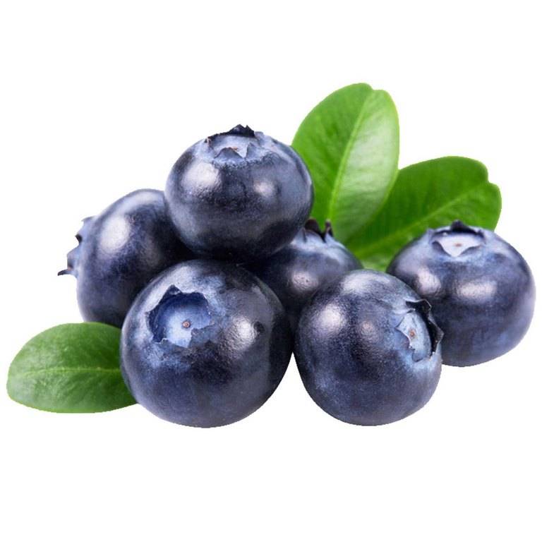 Raspberry, Blue