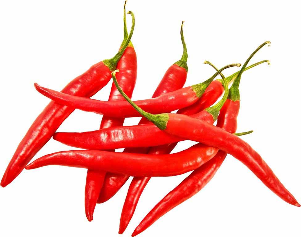 Pepper, Chili Red