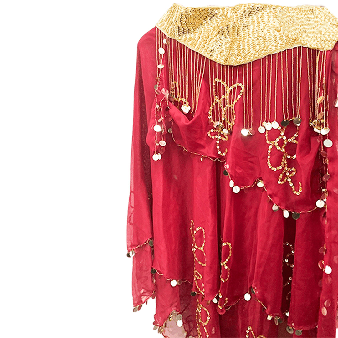 Belly Dance Costume for Women (Skirt-Top) Irregular Ruffle Outfit Red and Gold