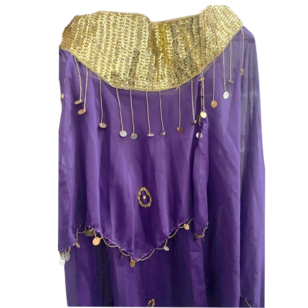 Belly Dance Costume for Women (Skirt-Top) Irregular Ruffle Outfit (Purple x Gold)