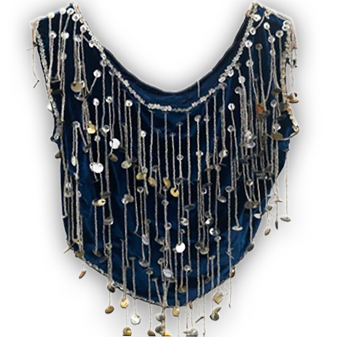 Belly Dance Costume for Women (Skirt-Top) Irregular Ruffle Outfit (Blue x Silver)