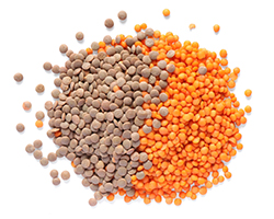 rice-and-grains