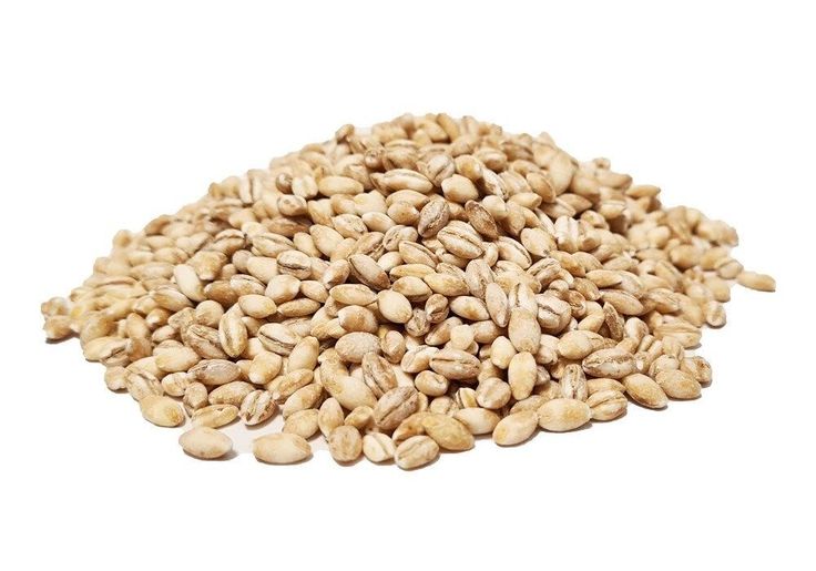 Shamra Barley, 50 Lbs.