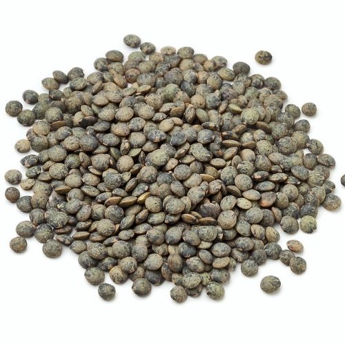 Shamra French Lentils, 50 Lbs.