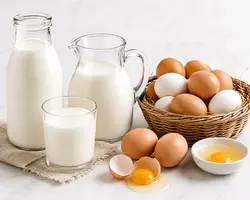 dairy-products