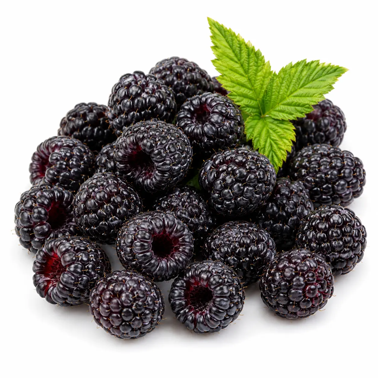 Raspberry, Black
