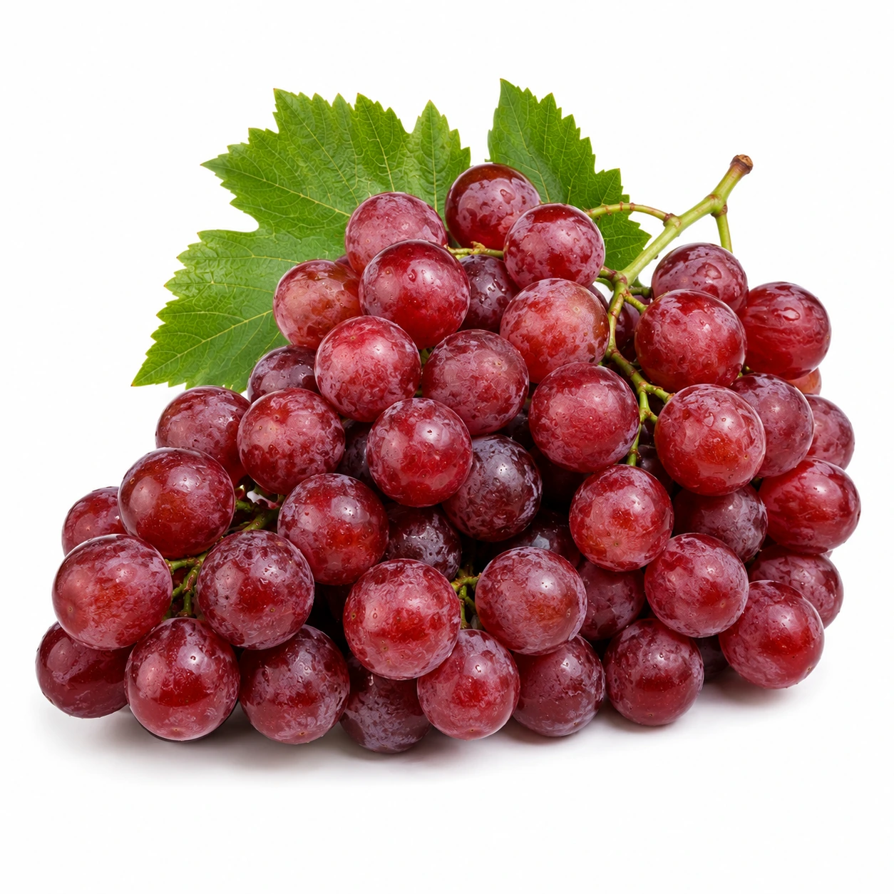 Grape, Red