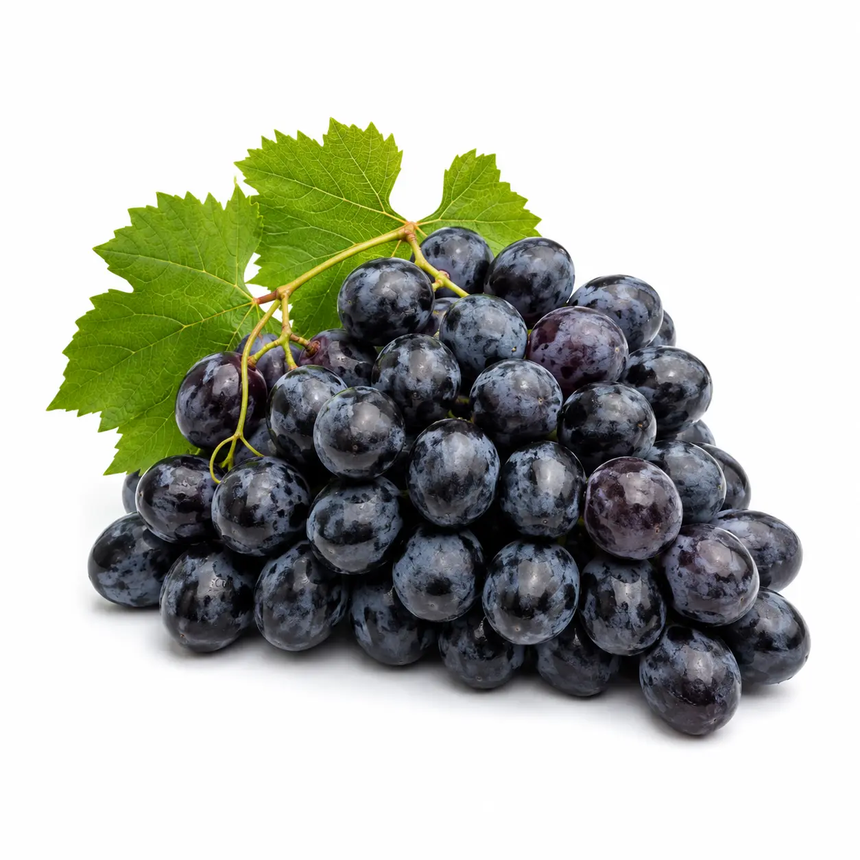 Grape, Black