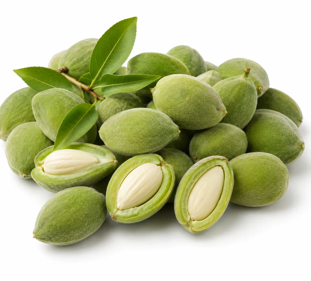 Green Almond.(Seasons)