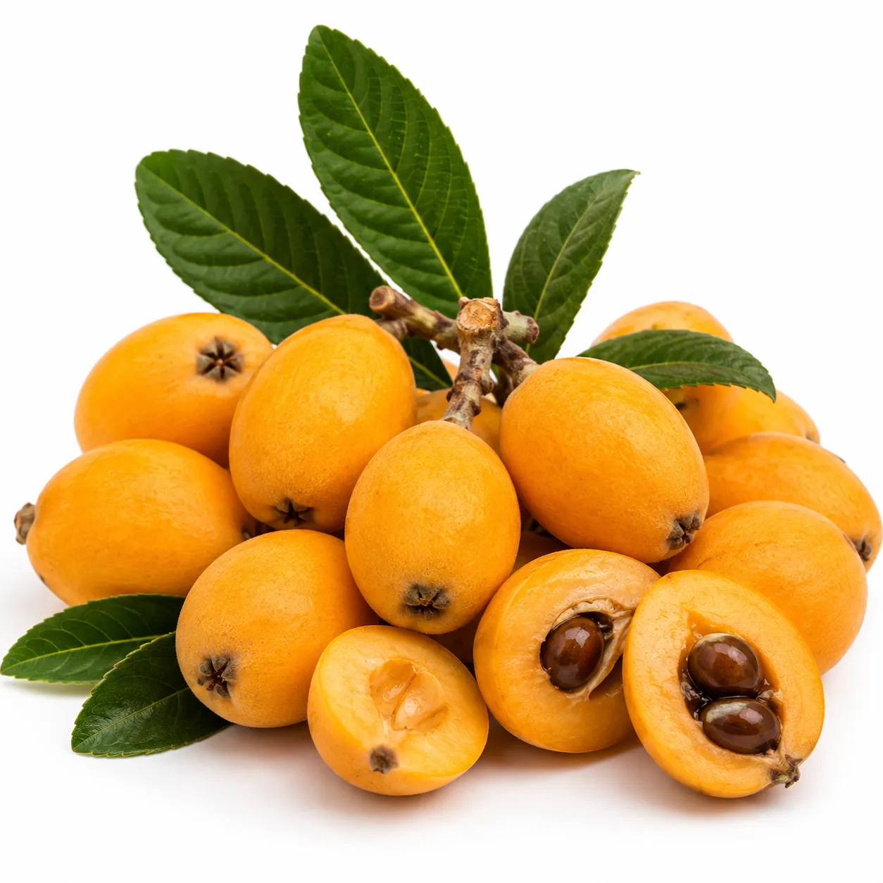 Loquat. (Seasons)