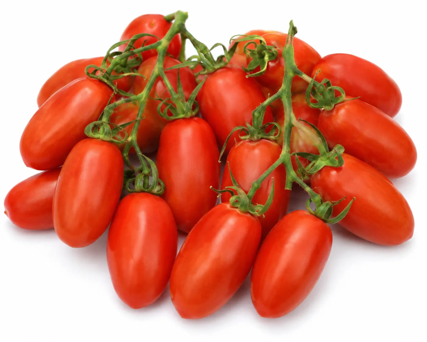 Plum Tomato (RomaTomato)