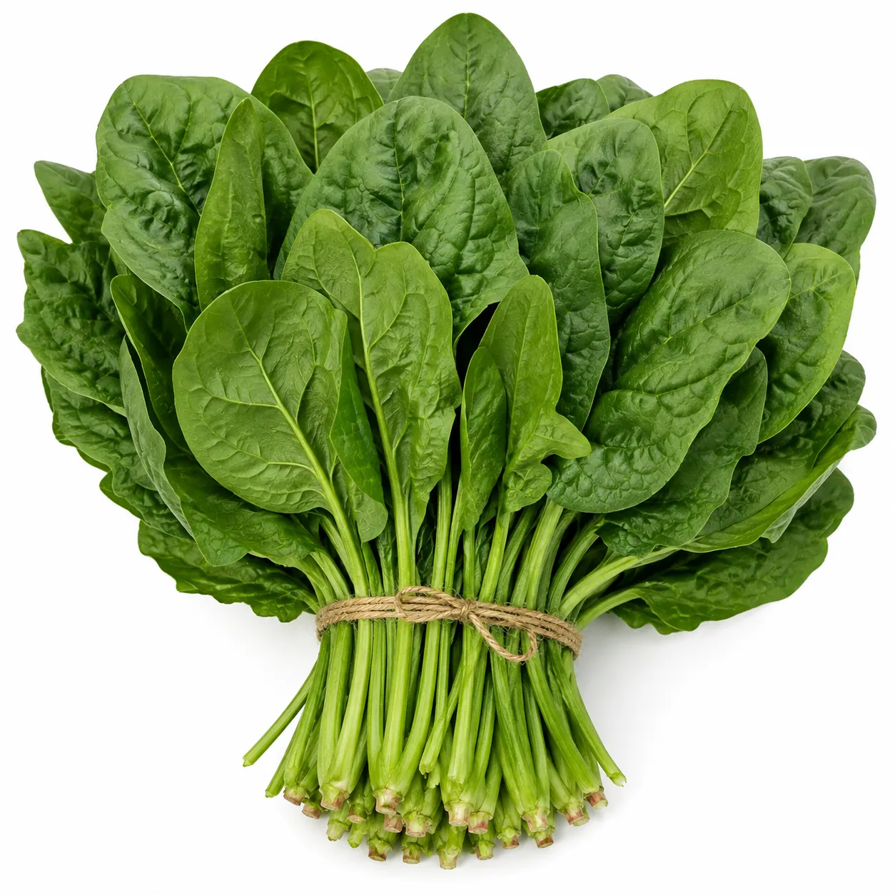 Spinach Bushel