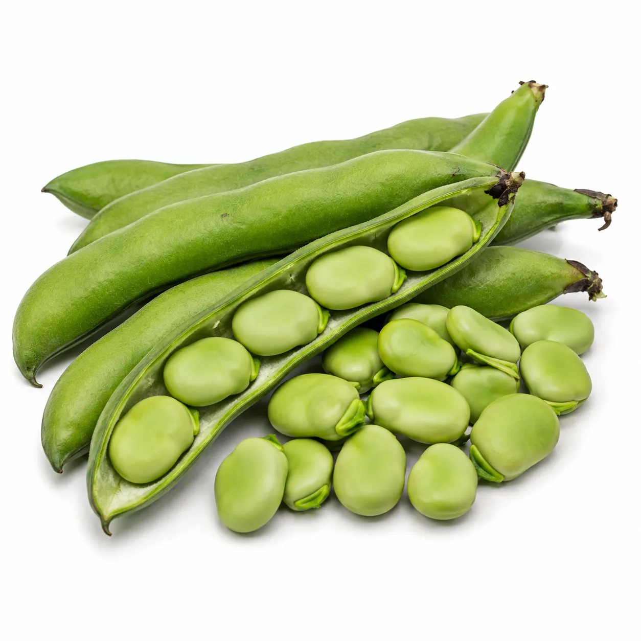 Broad Beans