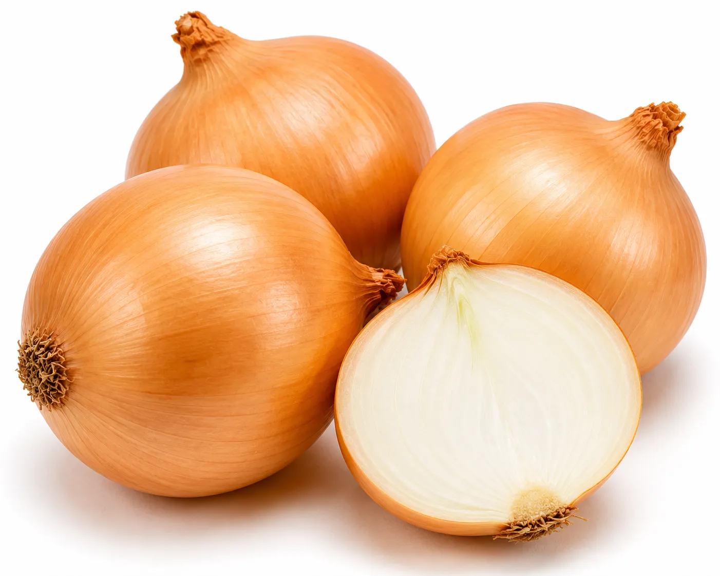 Onion, Yellow