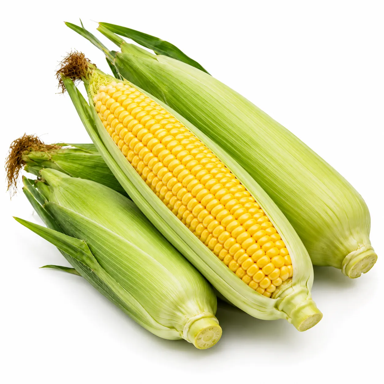 Corn