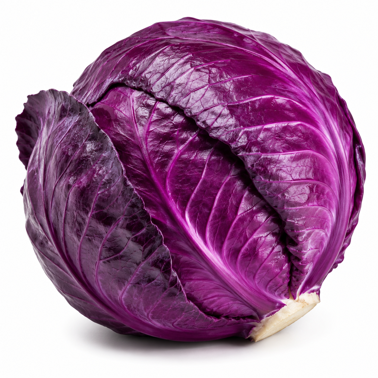 Red Cabbage
