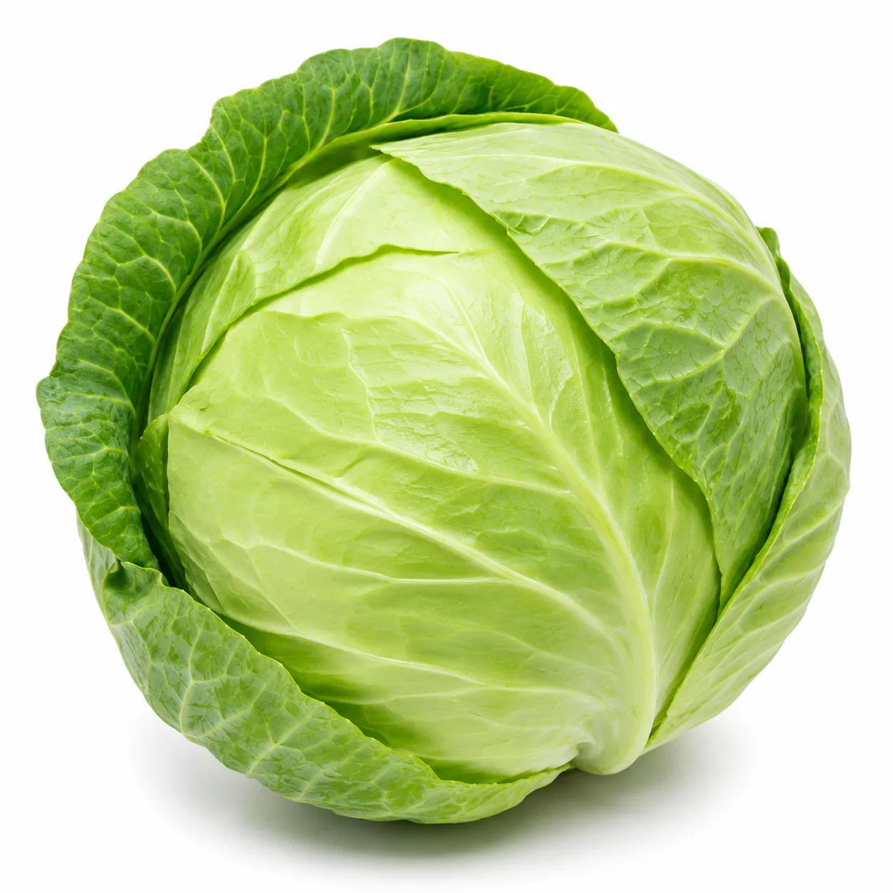 Cabbage