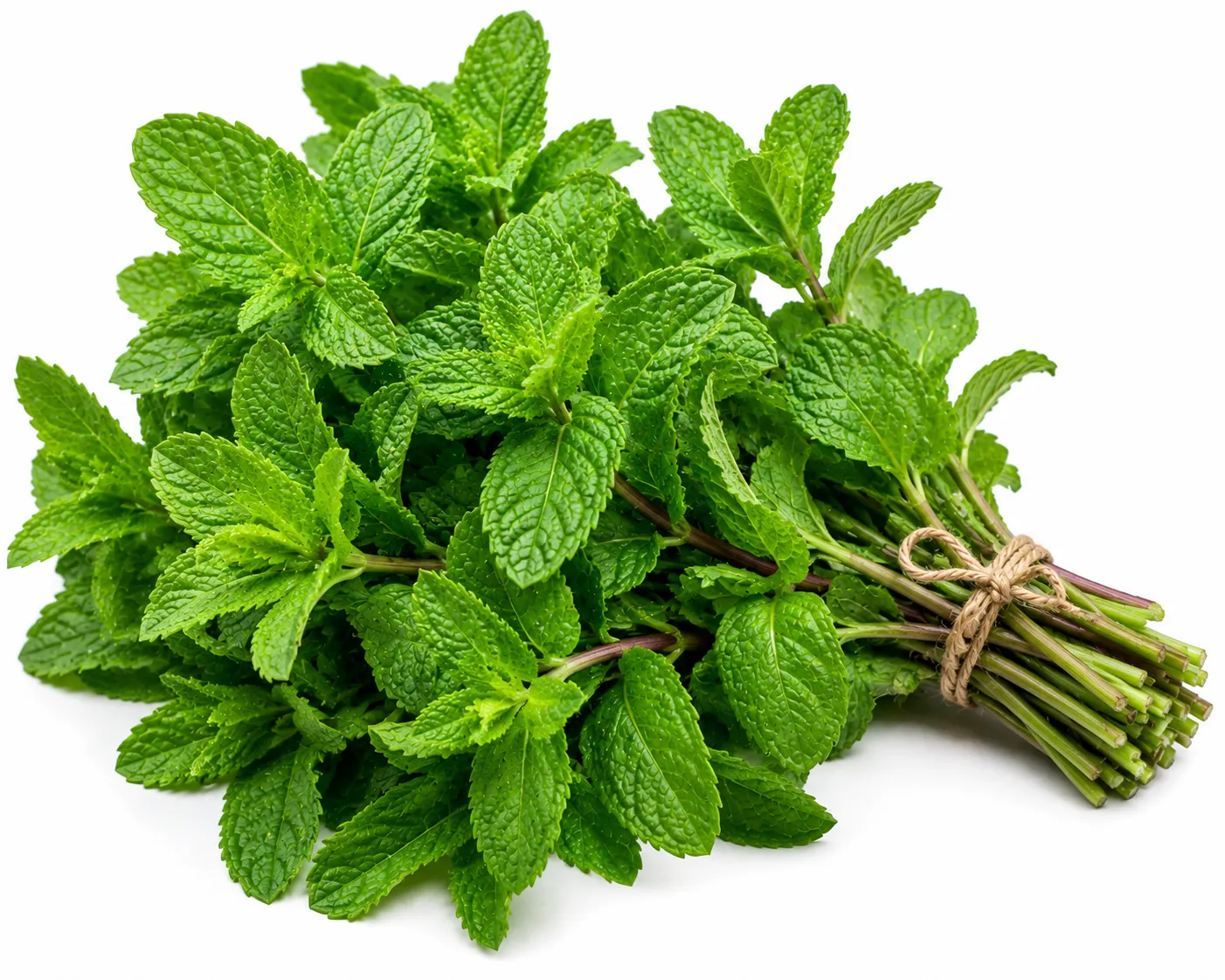 Mint