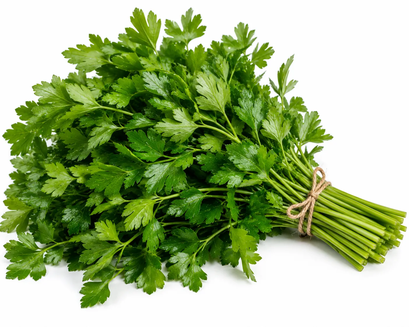 Parsley Italian