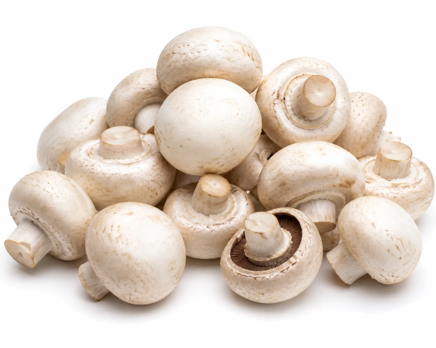 Mushroom