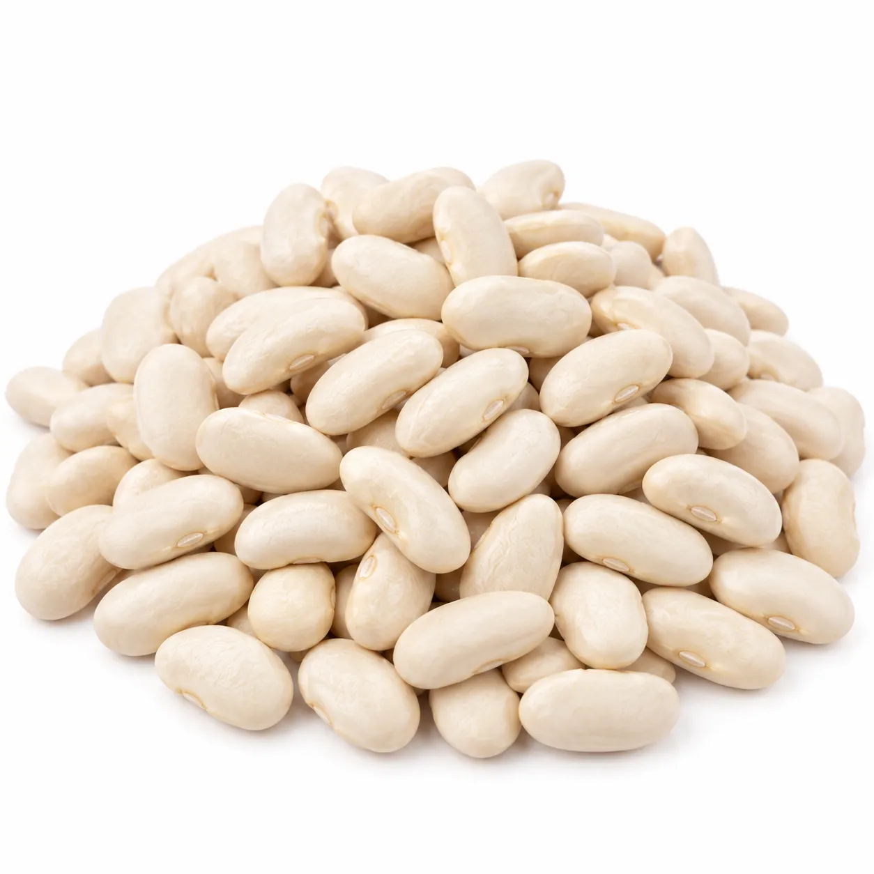 Mediterranean Great Northern Beans, 50 lbs.