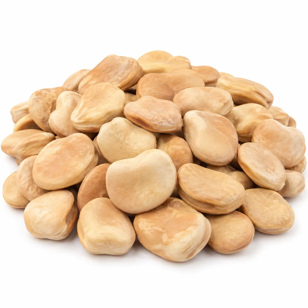 Mediterranean Lupini Beans -Extra Large, 55 lbs.