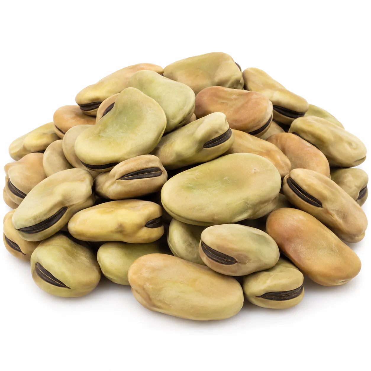 Mediterranean Fava Beans - Large Whole, 55 lbs.