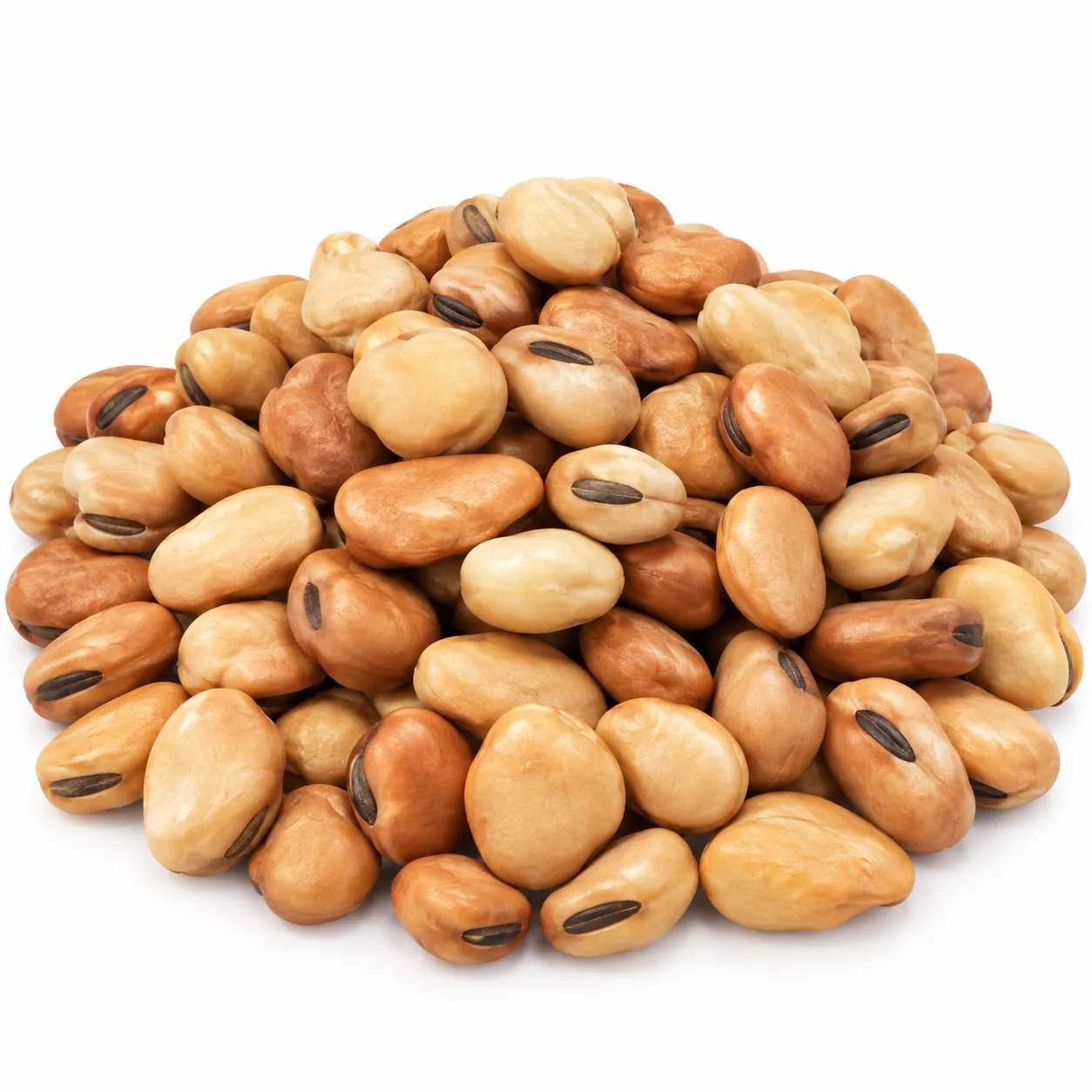 Mediterranean Fava Beans - Mini Whole, 50 lbs.