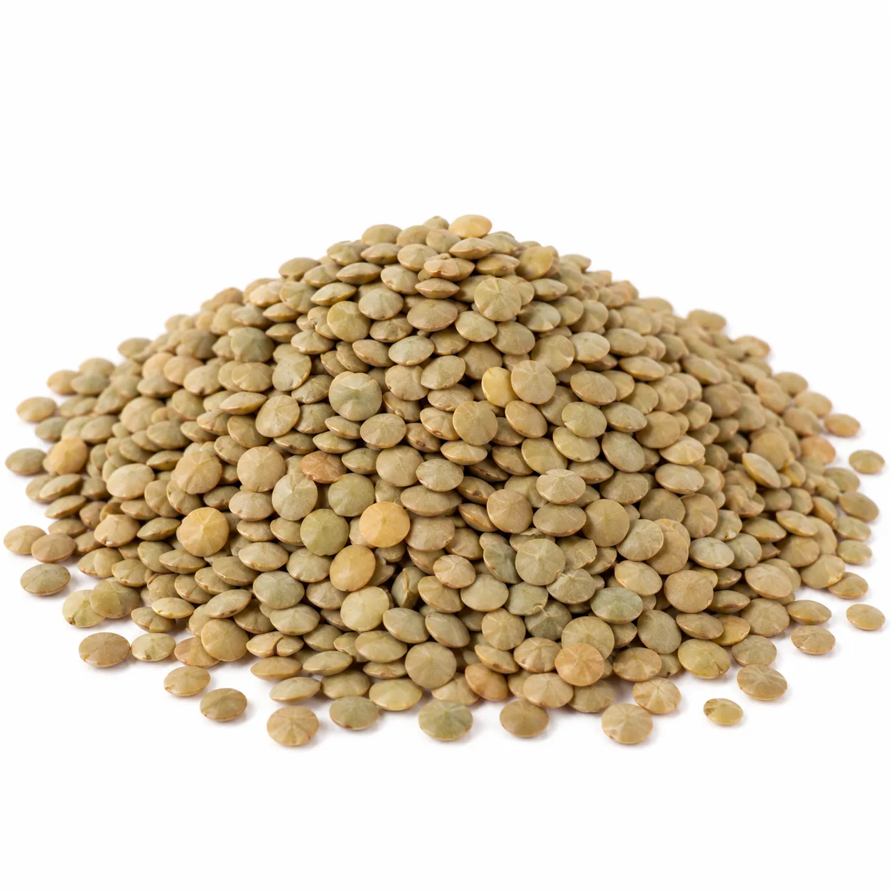 Mediterranean Green Lentils Eston Small, 50 lbs.