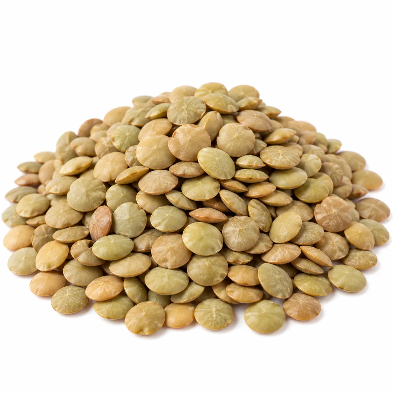 Mediterranean Green Lentils Laird Large, 50 lbs.