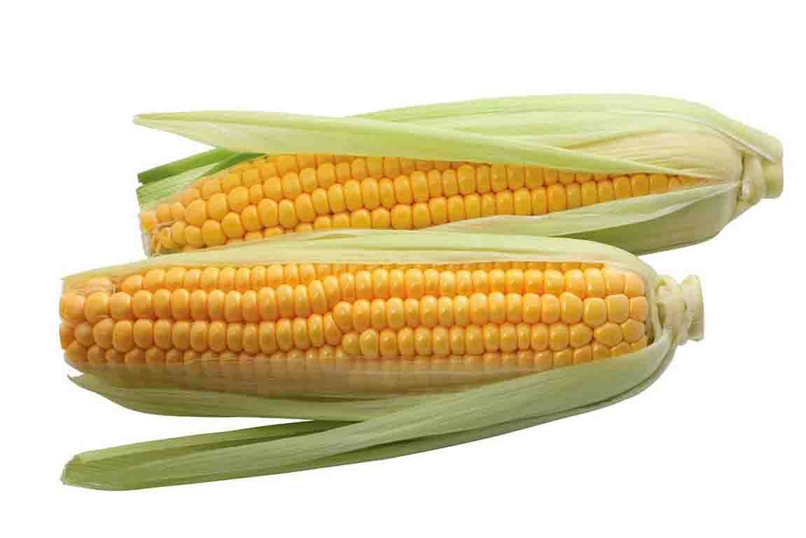 Corn